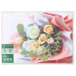 (nNo)HAKUBA P|PbgAo CP R 2LTCY  20[ y[Yu[Pz