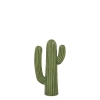 _g CACTUS C K655-657C