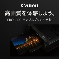 LmPro-1100Tvvg